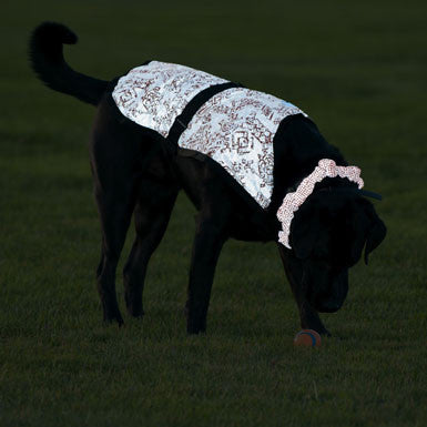 Reflective Pet Gear