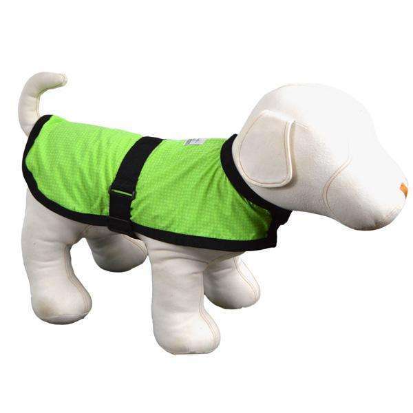 Reflective Dog Jacket in Neon Green
