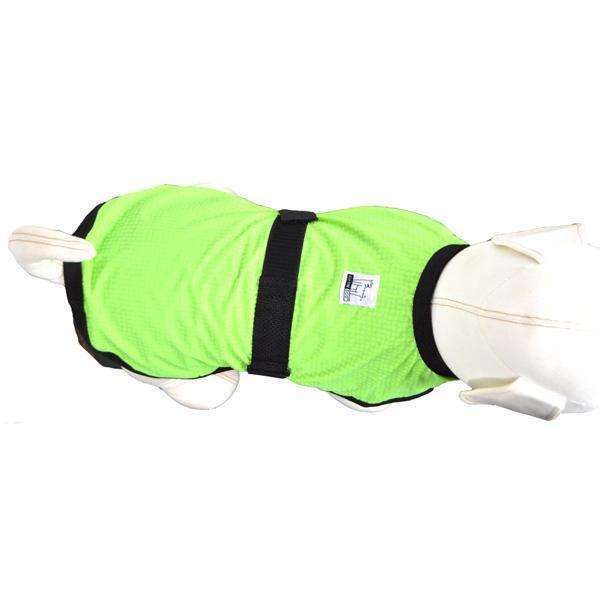 Reflective Dog Jacket in Neon Green