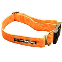 Glow Dog Adjustable Reflective Dog Collar in Orange